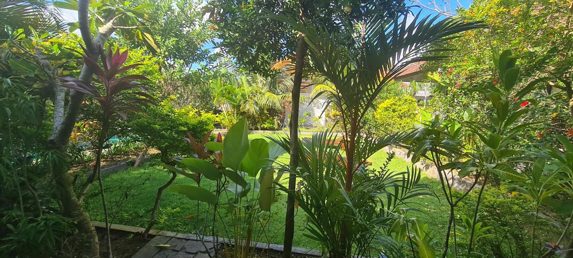 Paranyogan Homestay Uluwatu Exterior foto